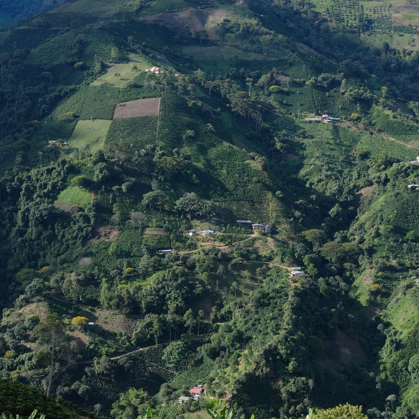 MAREYLA FERNANDEZ / PERU