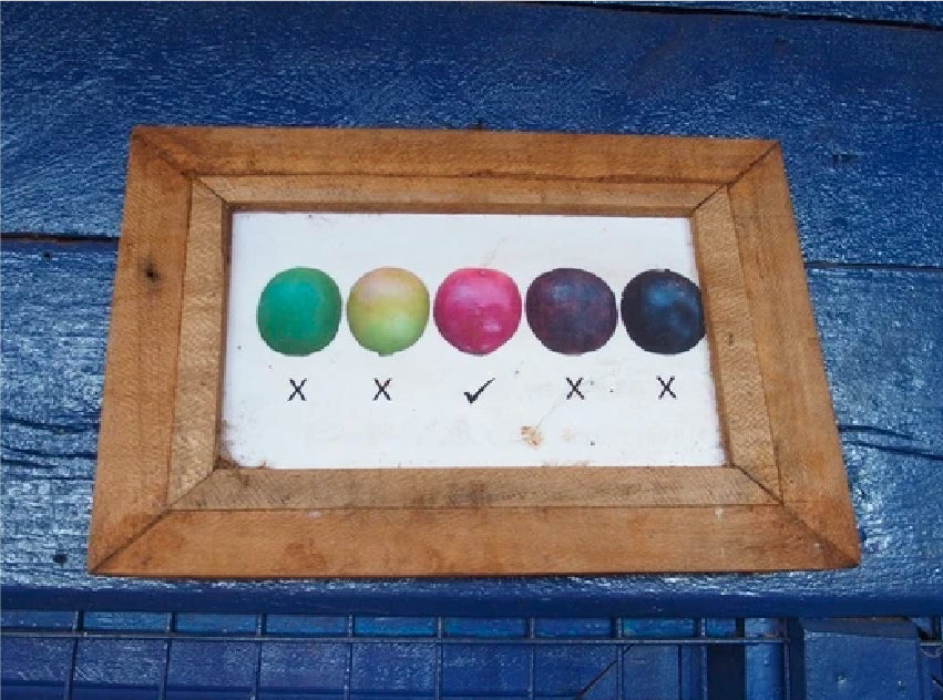 KENYA 2018-2019 シーズン