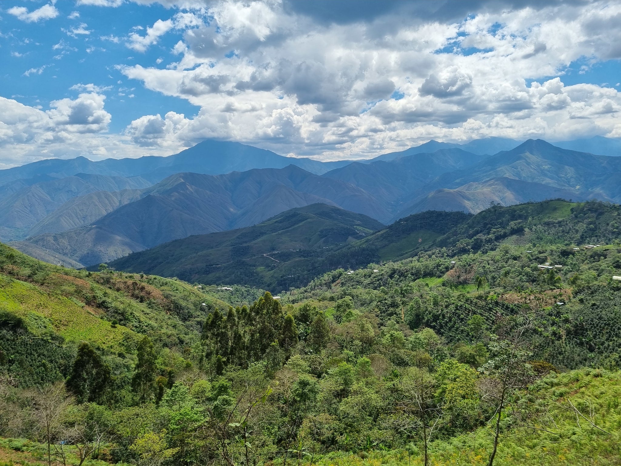FERNANDEZ FAMILIA/PERU