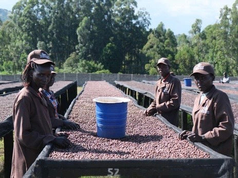 BOMU LA MATUNDA/KENYA
