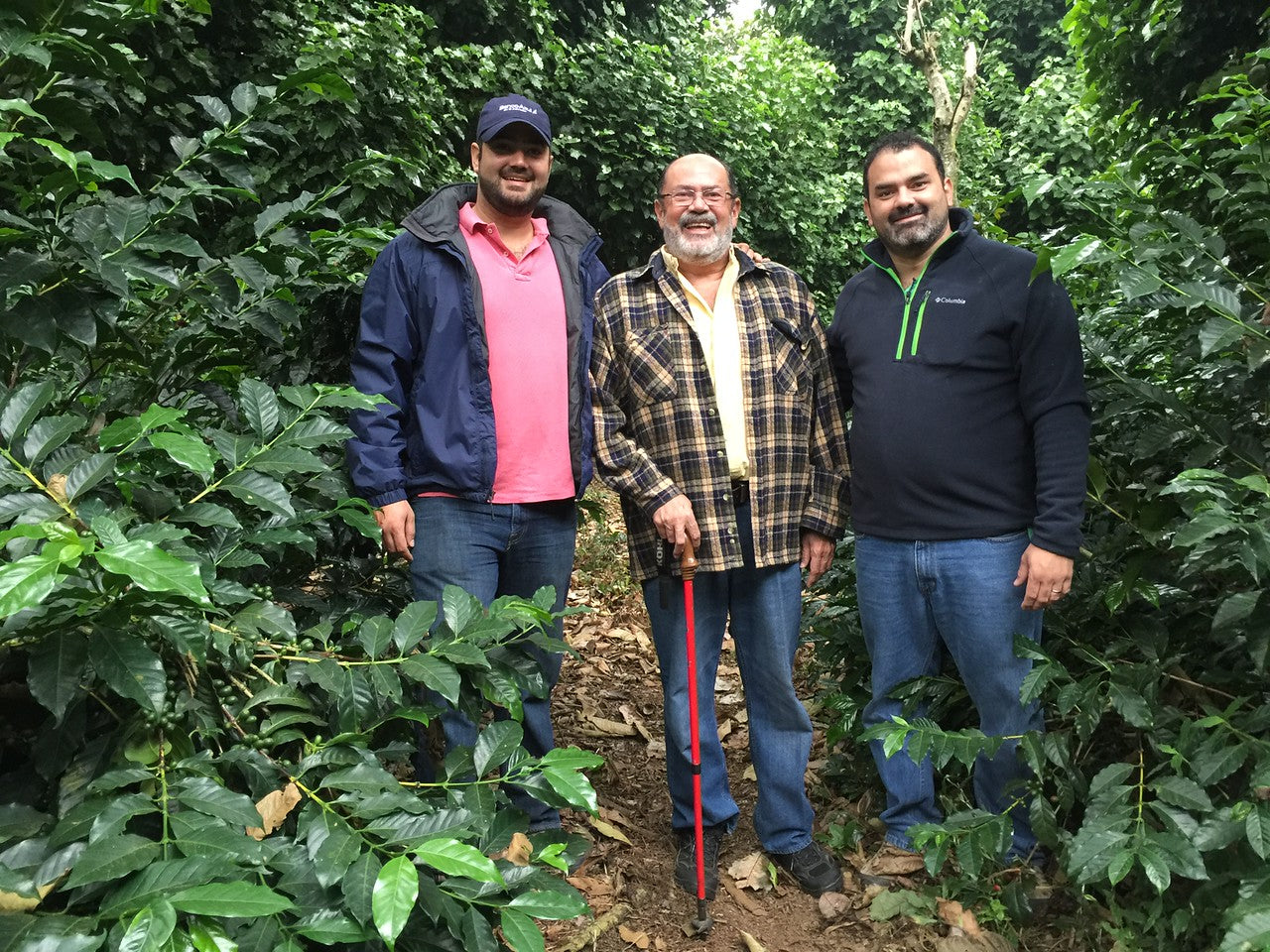 EL PEDREGAL / EL SALVADOR