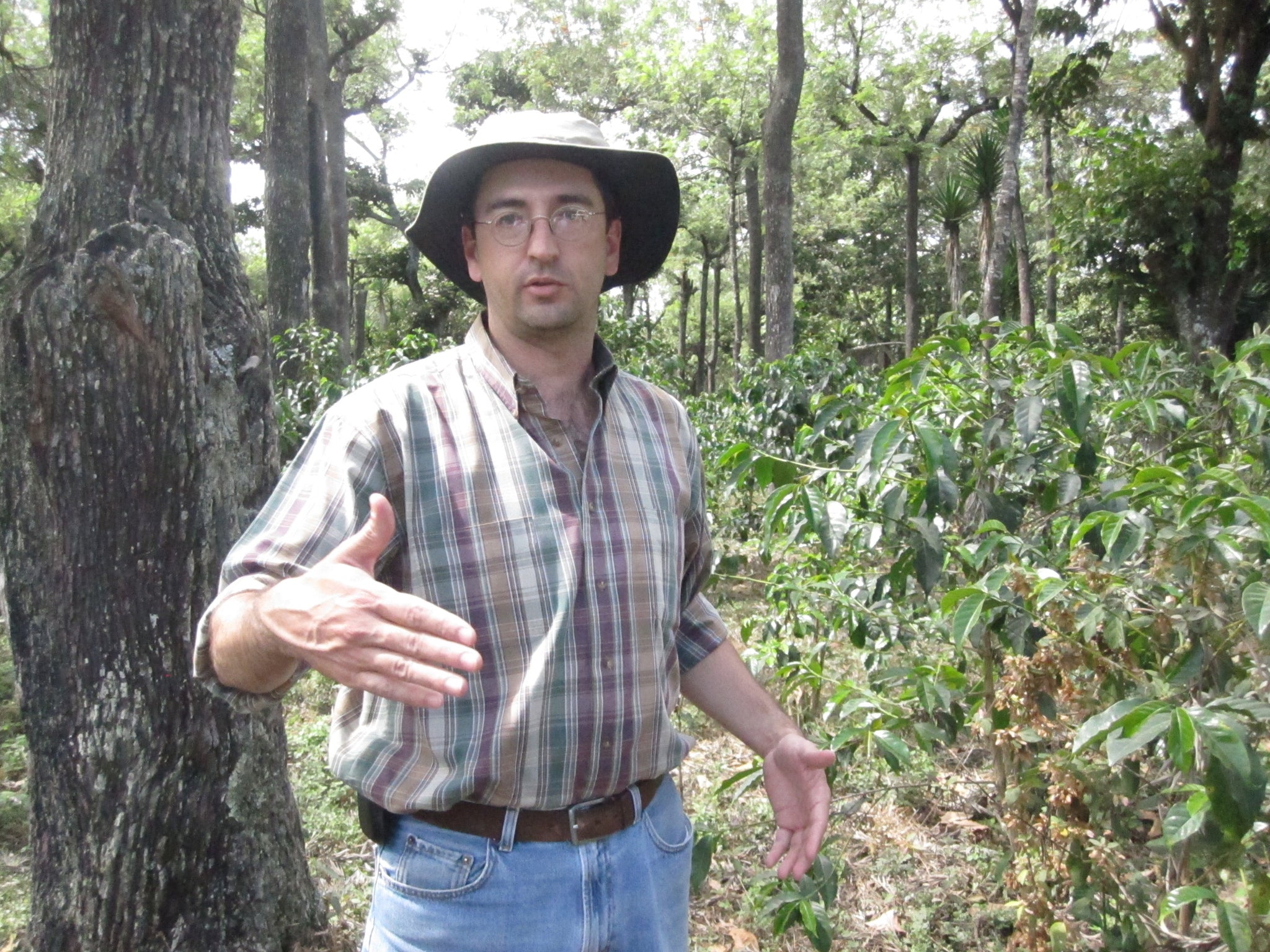 RETIRO DE QUISAYA ESPRESSO/ GUATEMALA