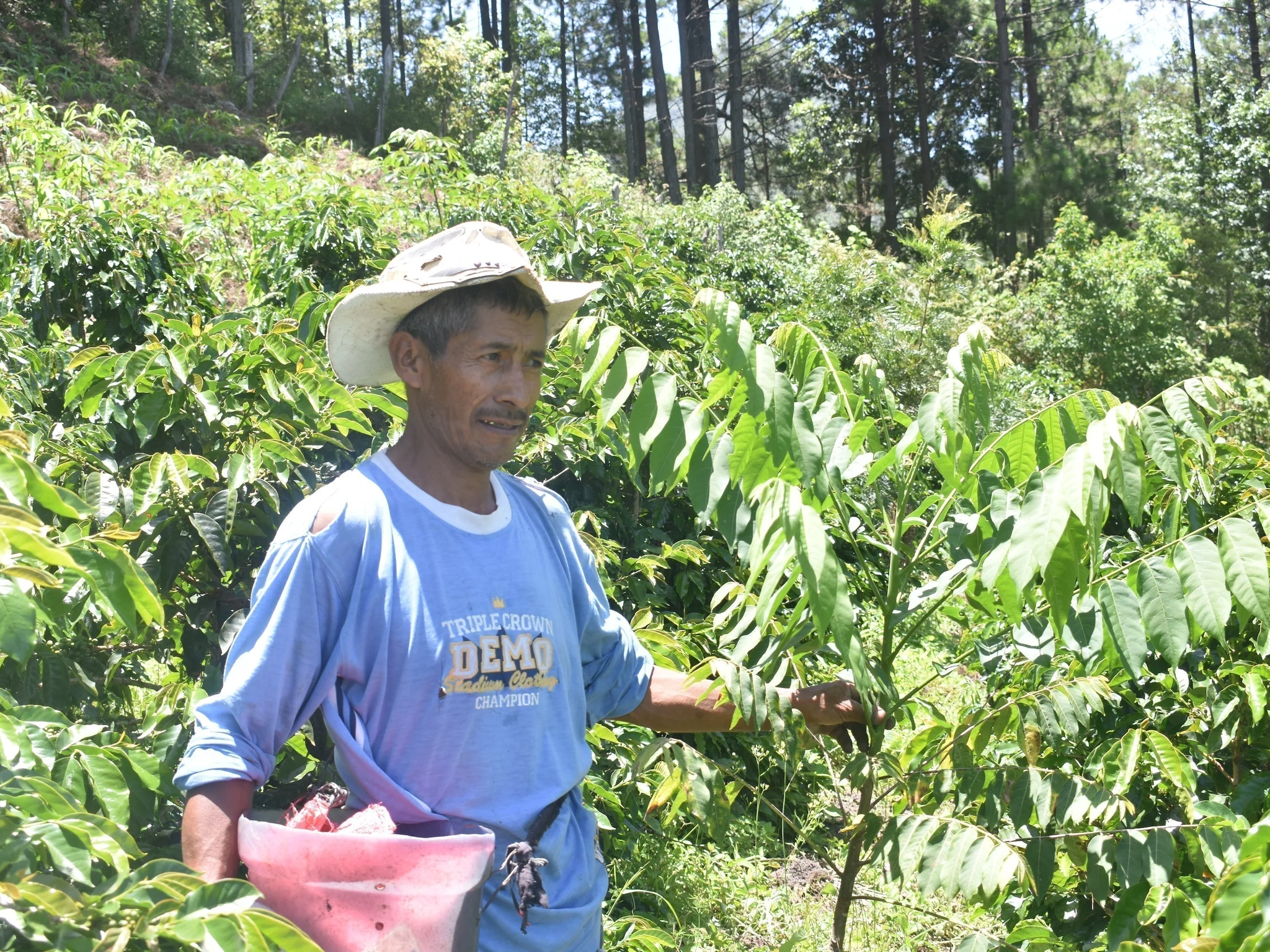 Jose Benigno Dominguez / Honduras