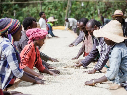 REFISA/ETHIOPIA