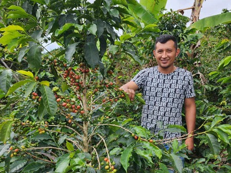 EL SILENCIO / COLOMBIA
