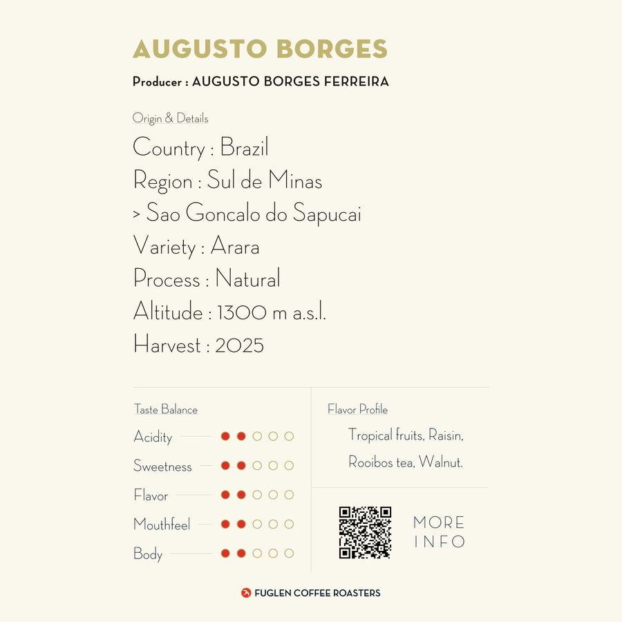 DRIP BAG / AUGUSTO BORGES, BRAZIL