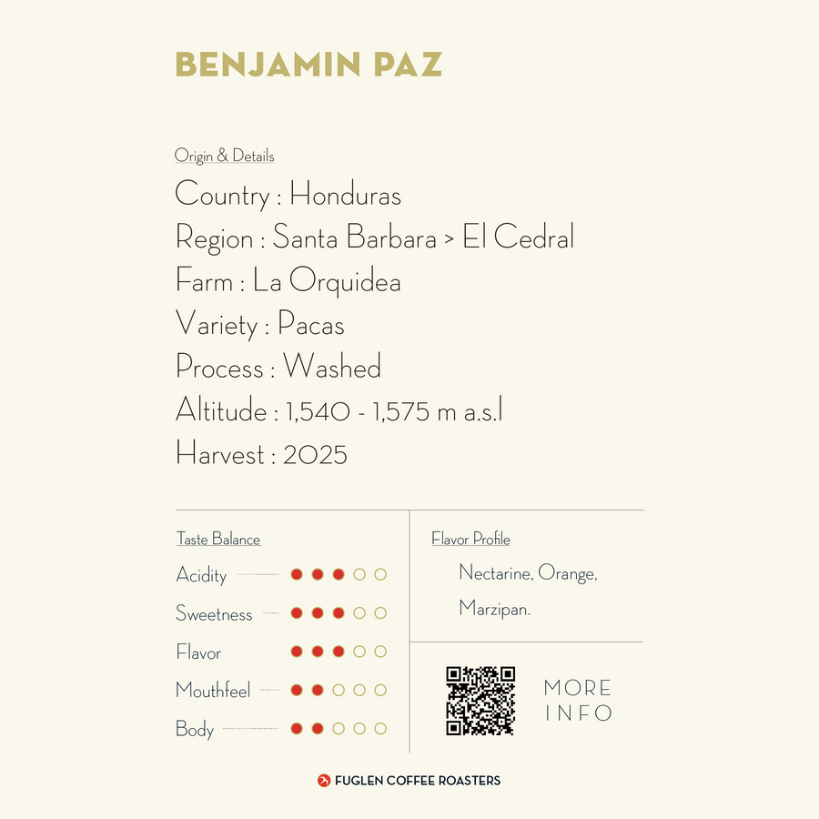 DRIP BAG / BENJAMIN PAZ, HONDURAS