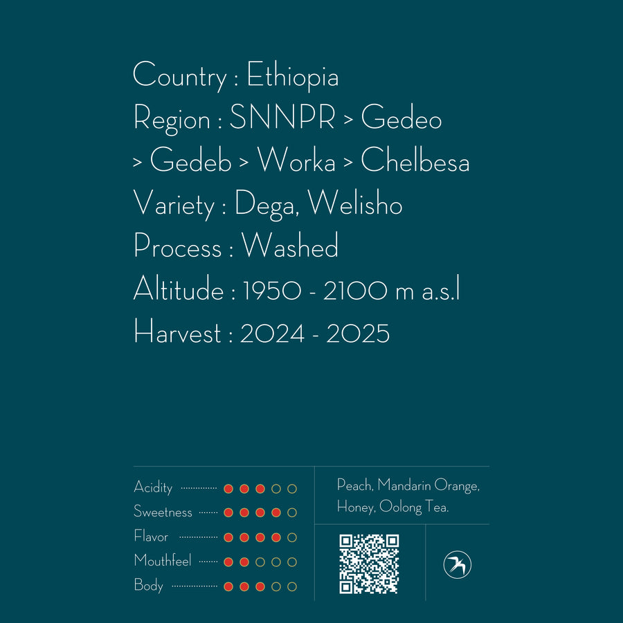 【NEW】DRIP BAG / CHELBESA , ETHIOPIA