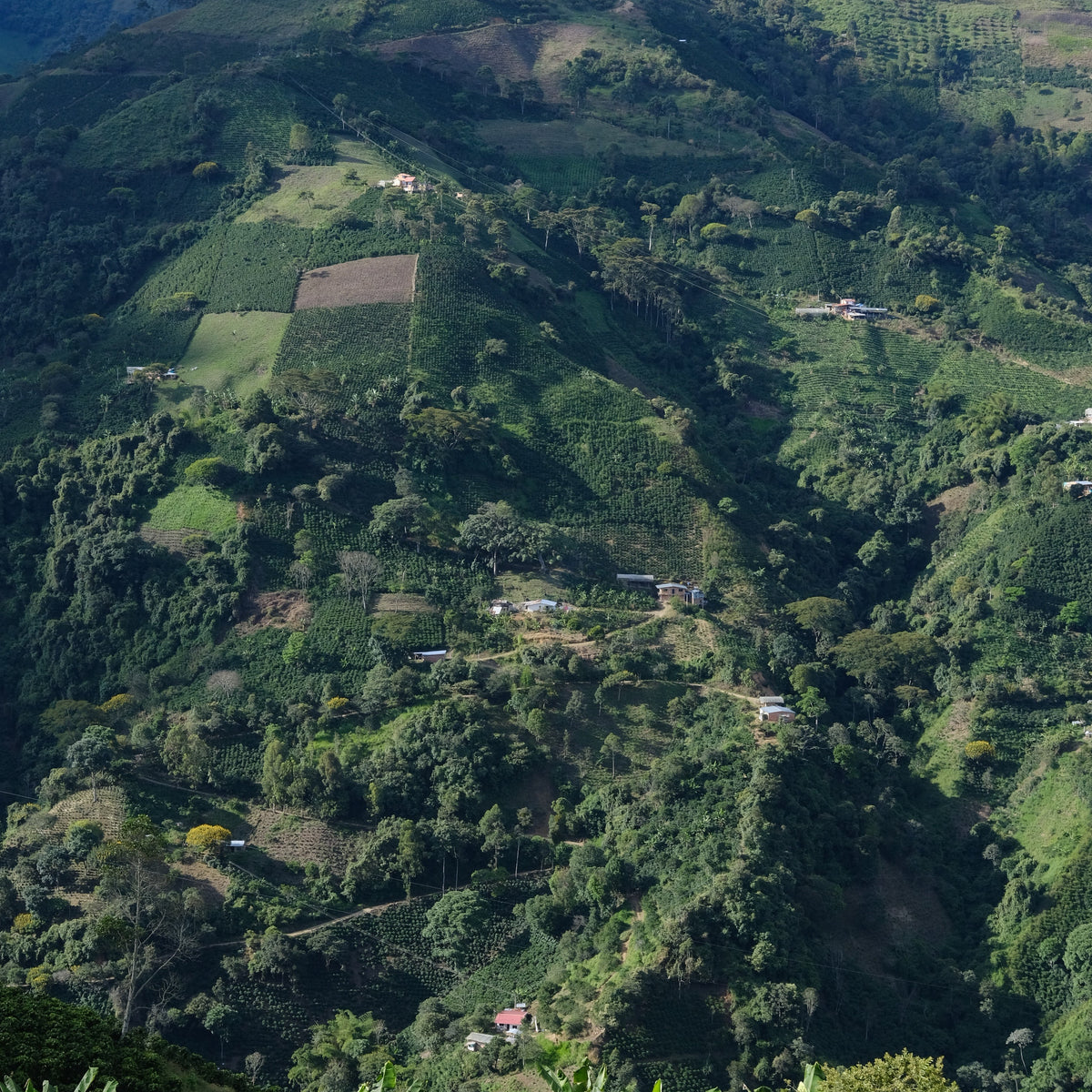 MAREYLA FERNANDEZ / PERU