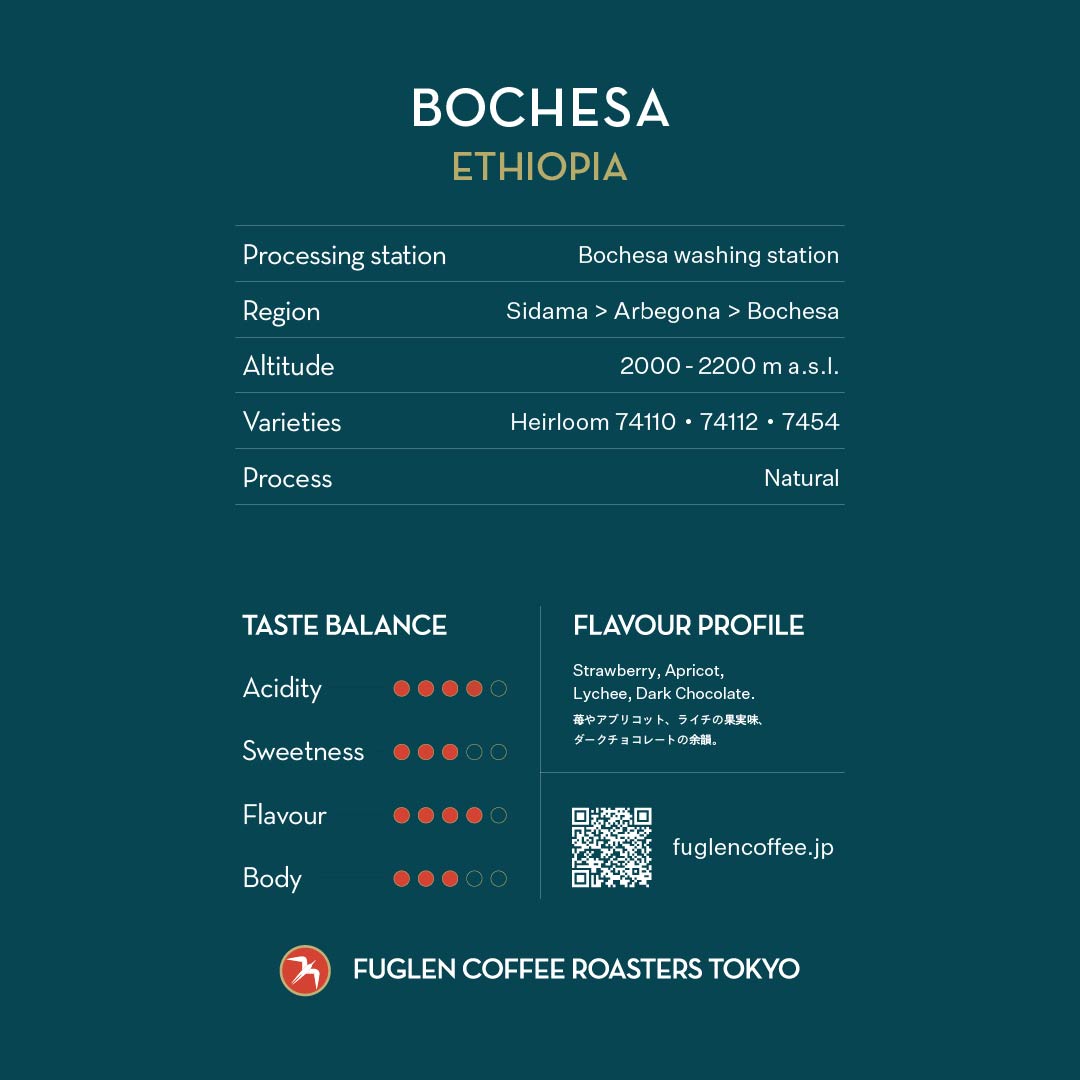 BOCHESA / ETHIOPIA