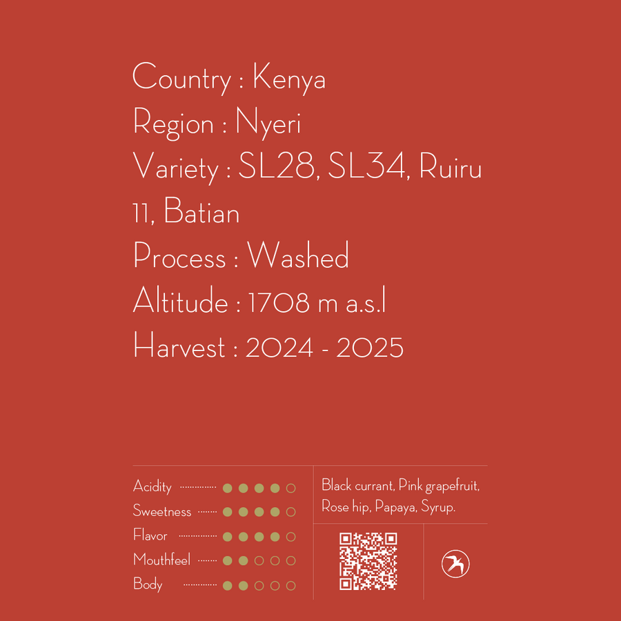 DRIP BAG / AB GITHEMBE , KENYA