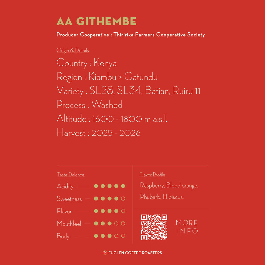 【NEW】AA GITHEMBE / KENYA