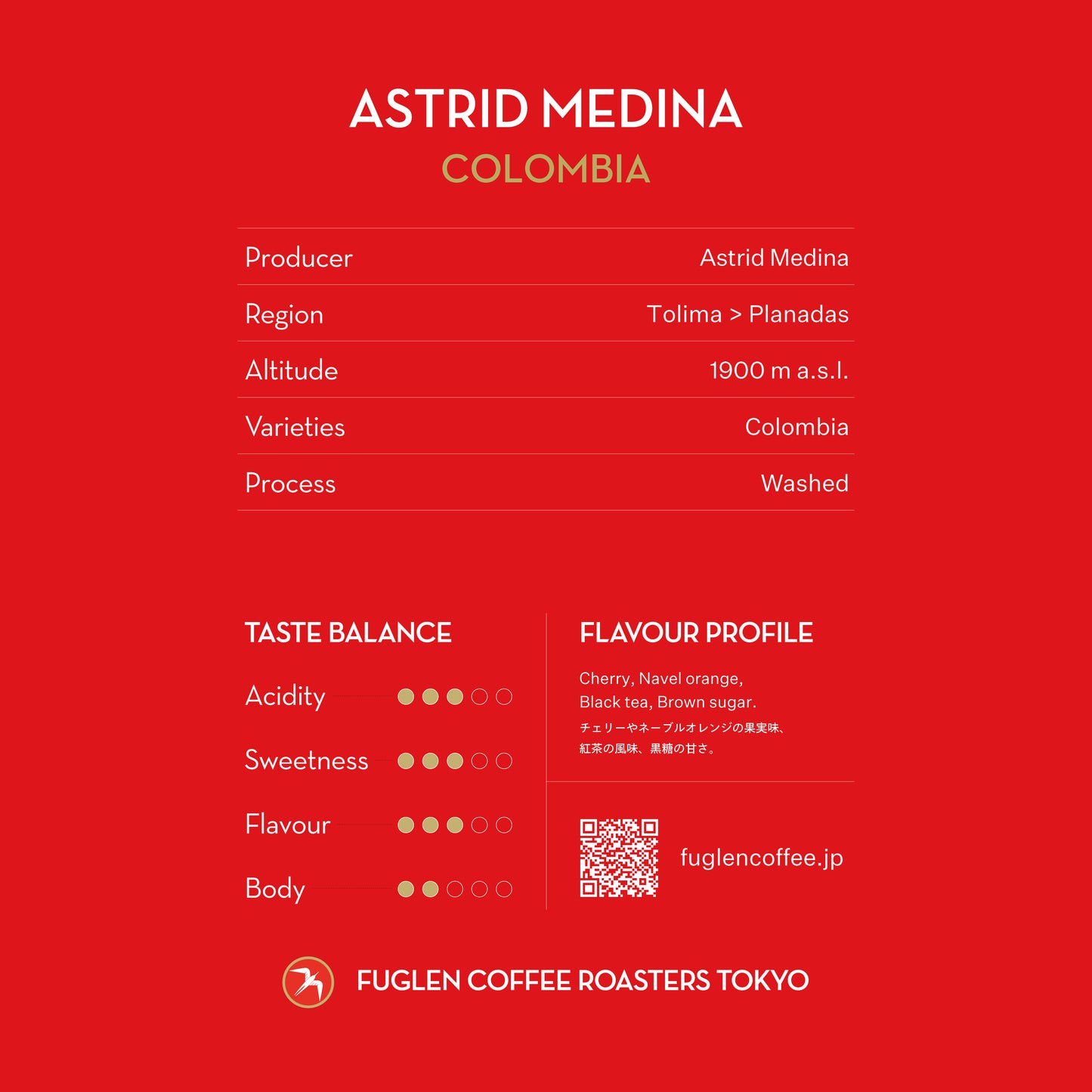 【NEW】DRIP BAG / ASTRID MEDINA, COLOMBIA
