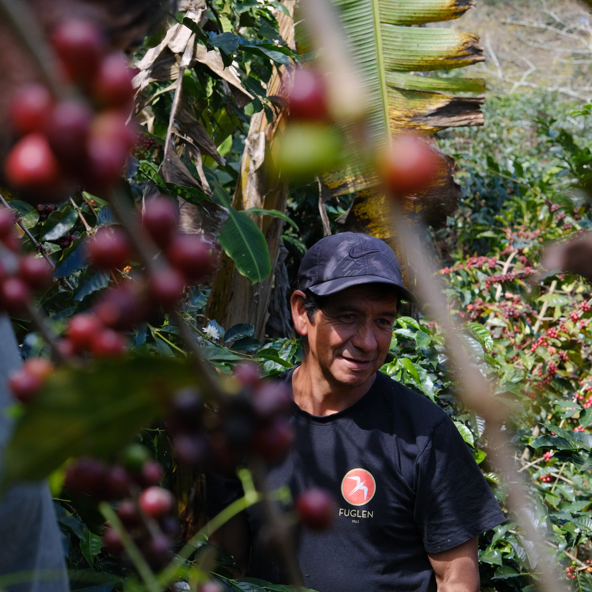 【SOLD OUT】FAMILIA FERNANDEZ ESPRESSO / PERU