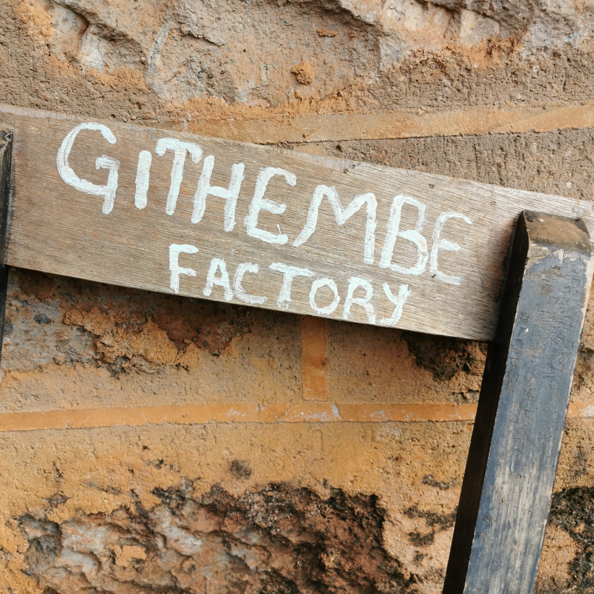 AA GITHEMBE / KENYA