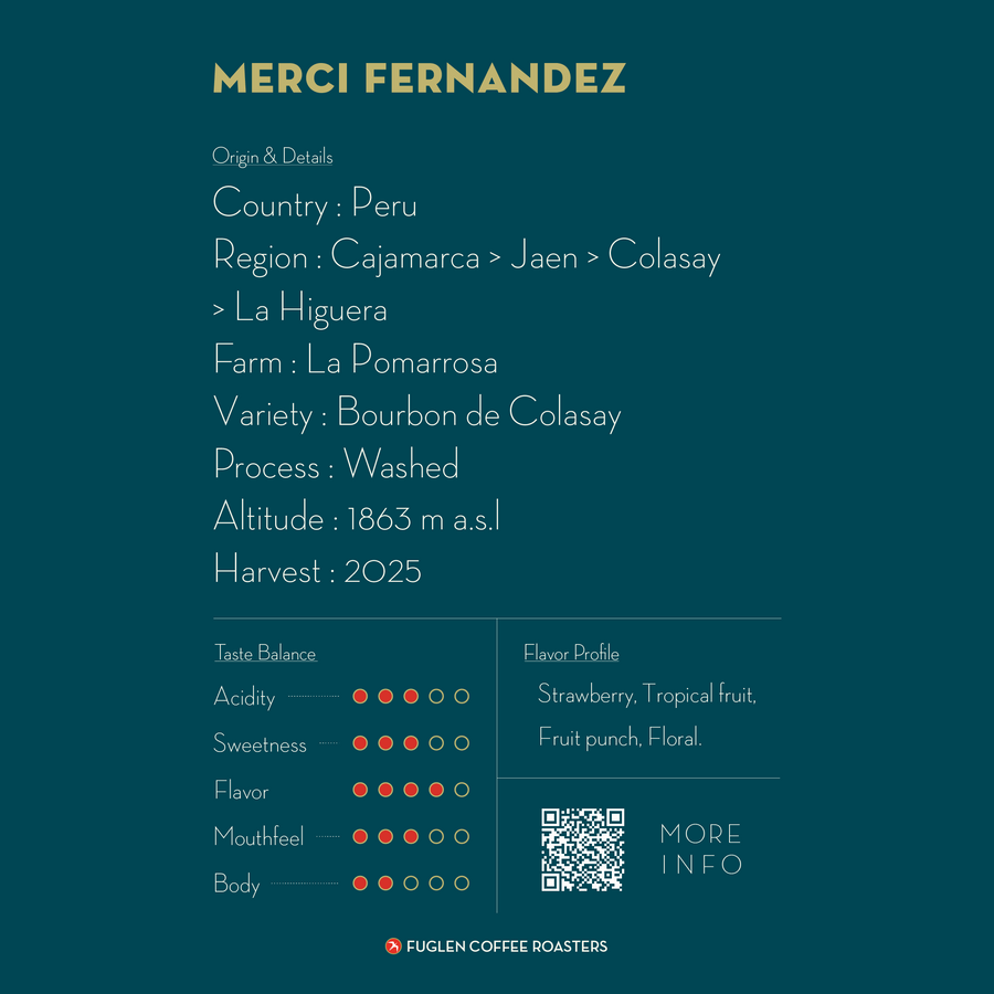 DRIP BAG / MERCI FERNANDEZ, PERU