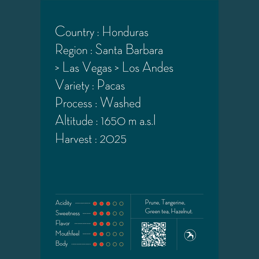 DRIP BAG / MARIO MORENO , HONDURAS